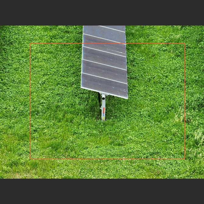 Screenshot 2026-01-16 at 4.50.57 PM